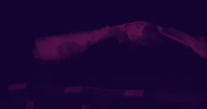 Imagem de uma coruja, símbolo da tsk.digital