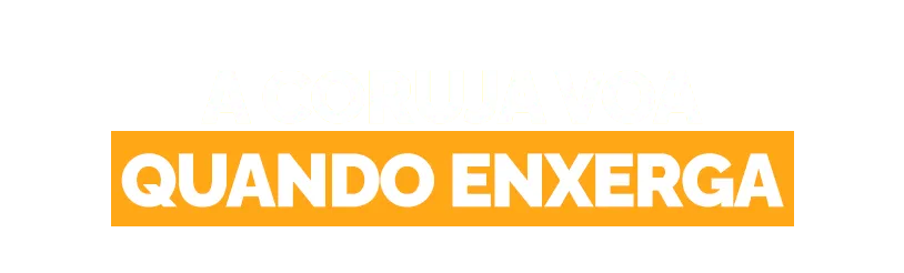 A coruja voa quando enxerga